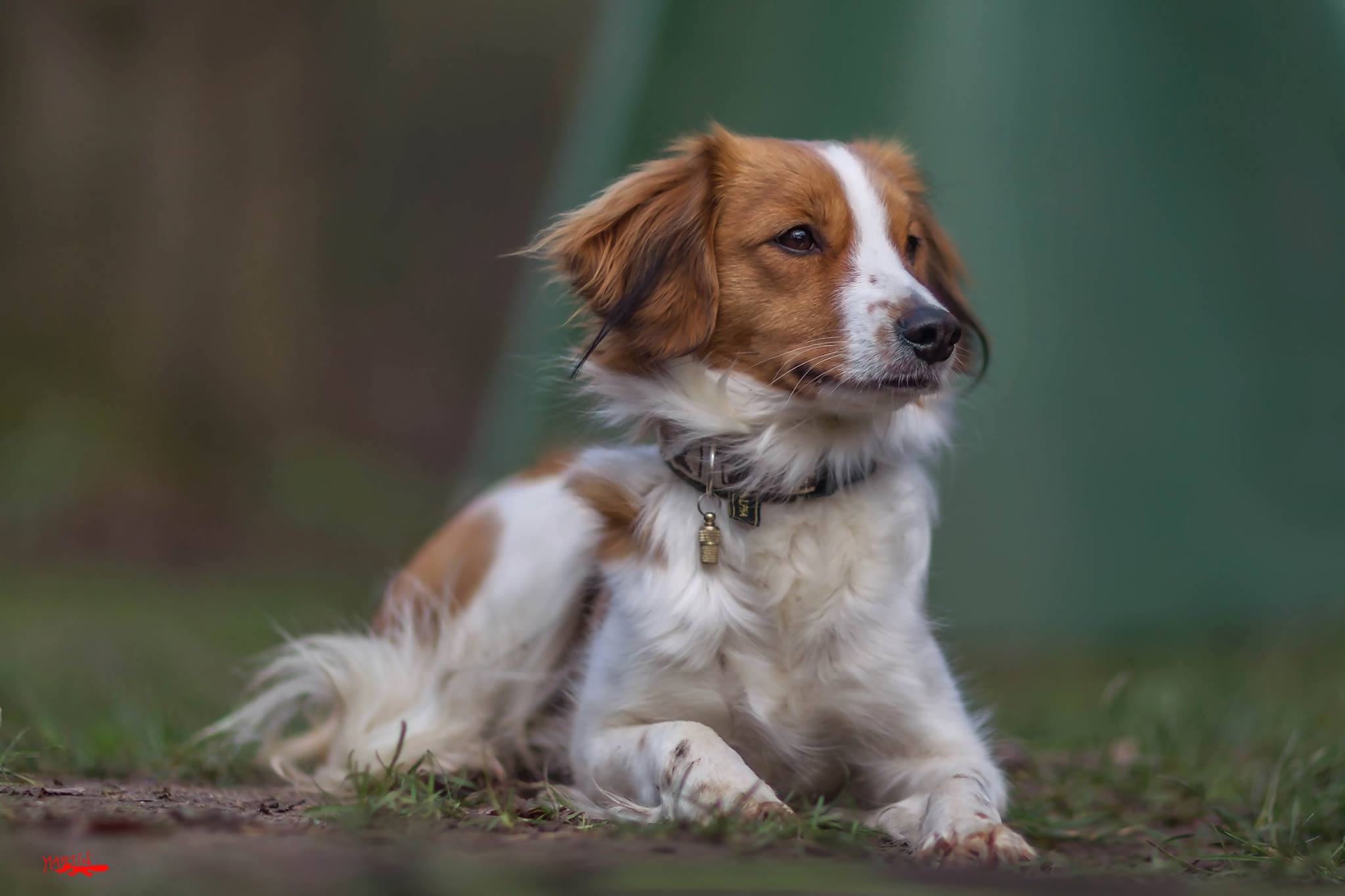 12465964_937578496330162_3009024653816220440_o