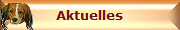 Aktuelles
