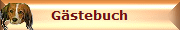 Gstebuch