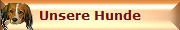 Unsere Hunde